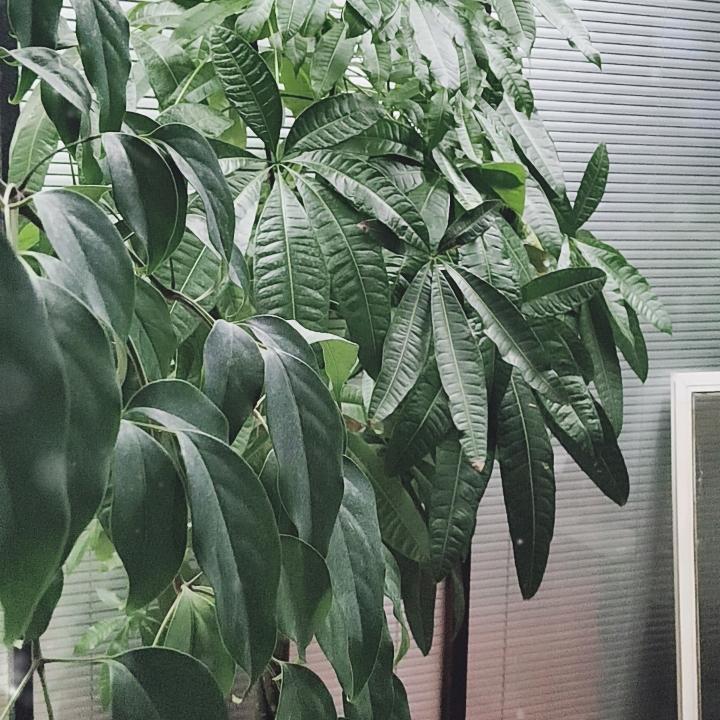 大家快来看，这个主播是变态🤪