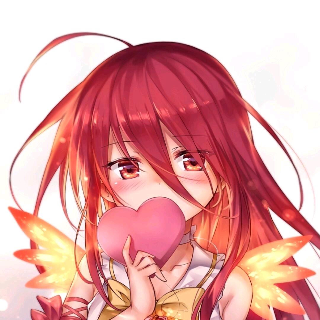 秋叶菊