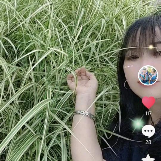 寻找青春的回忆【罗】