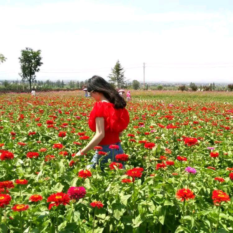 无可奈何女士🧐