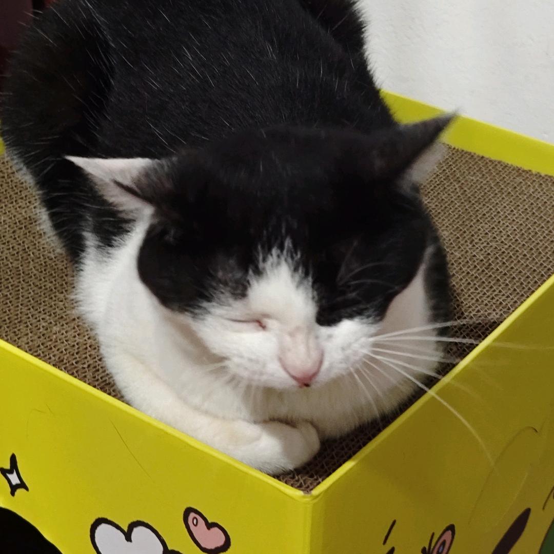金币币币