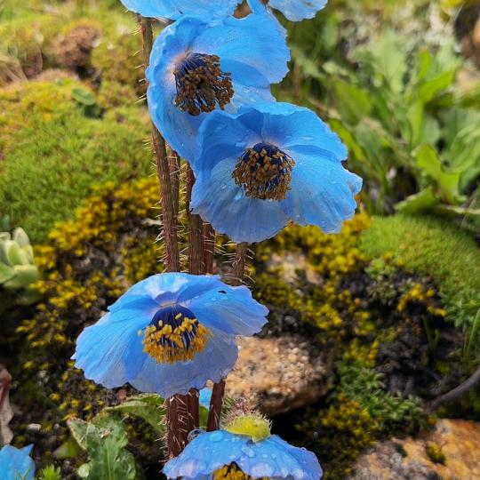 🌈🌈🌈一举夺魁🌈🌈🌈