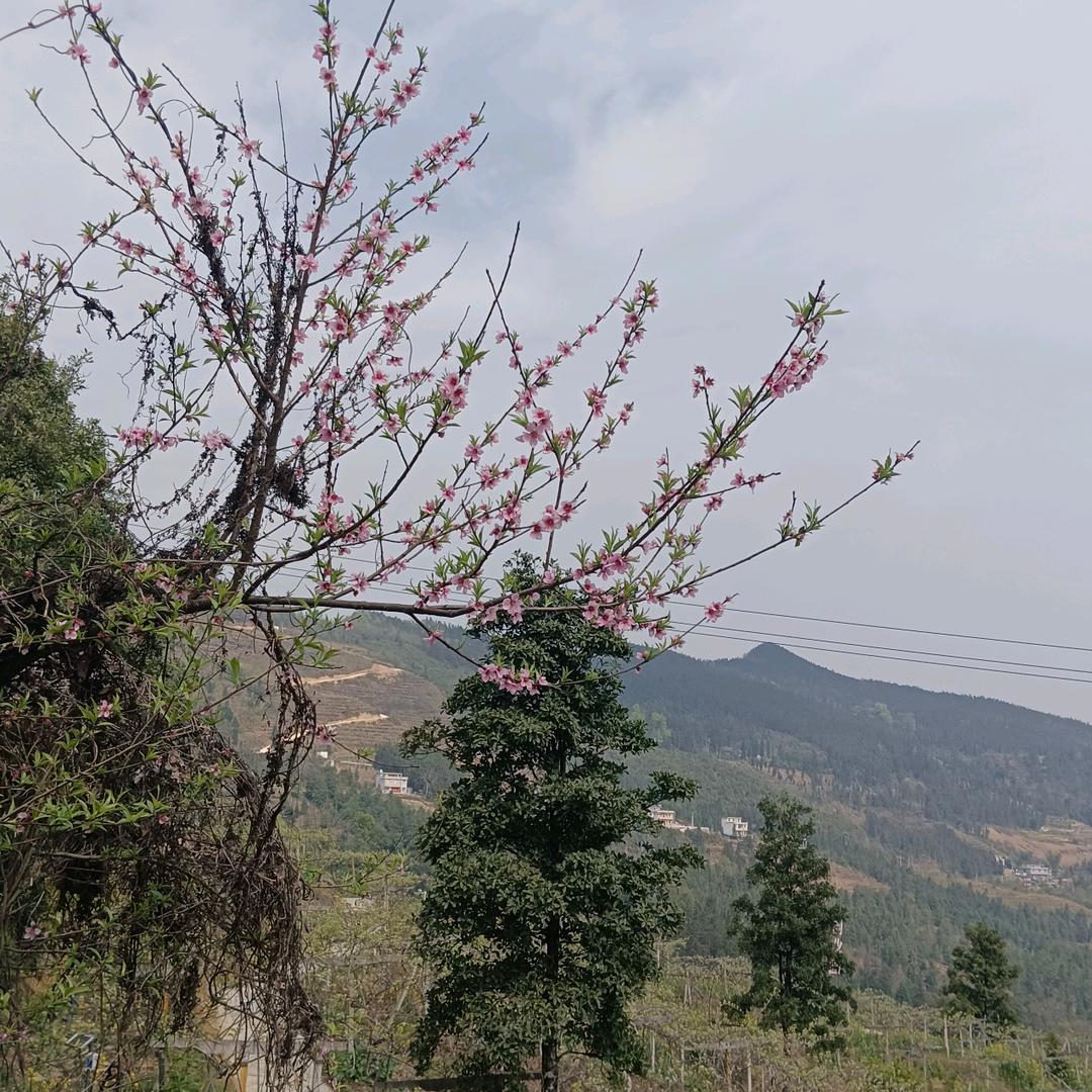 是金子总会发光