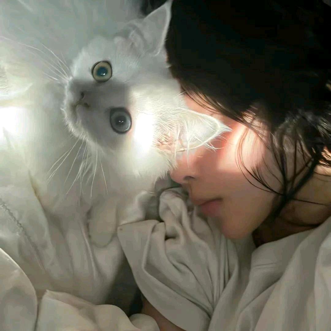 $宇宙之无敌金刚芭比女战士^