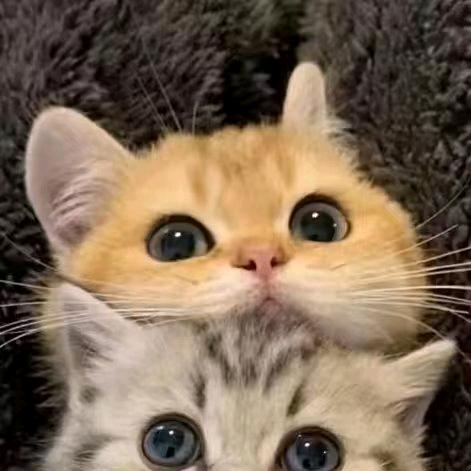 于笙