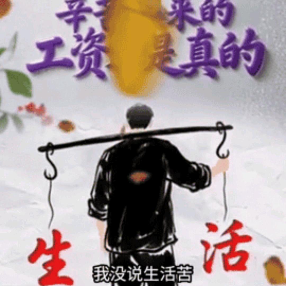 阳谷锋哥（四娃爸）