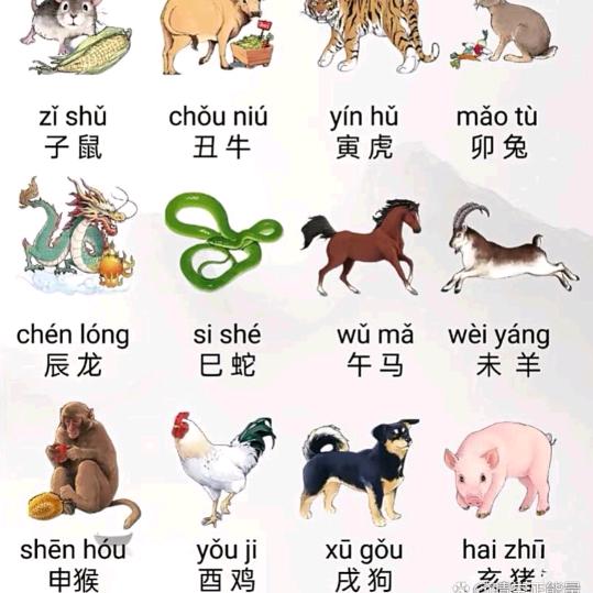 JF發發₍˄·͈༝·͈˄*₎◞ ̑̑