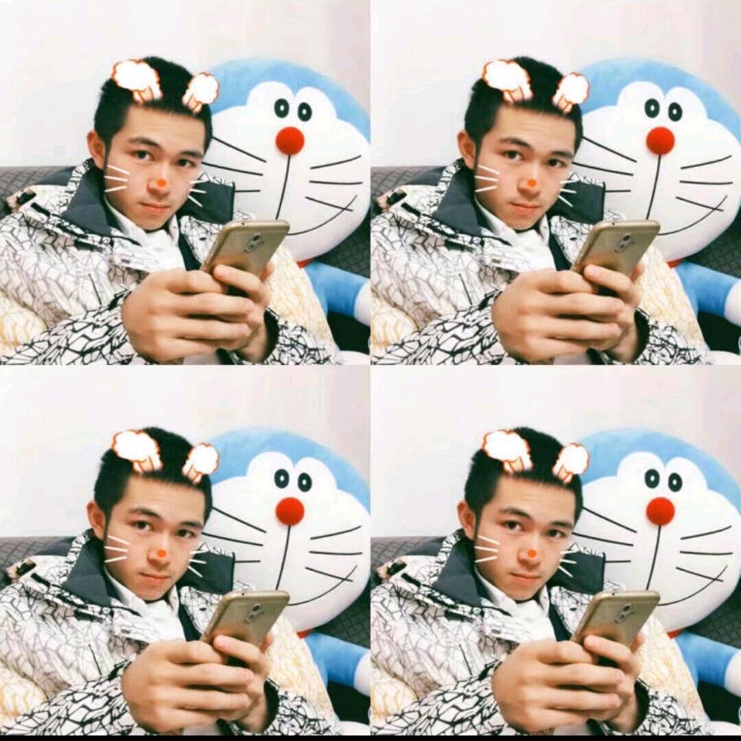 我是一只林中鸟