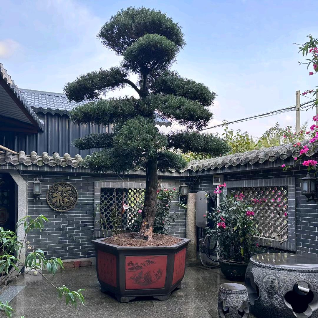 宜兴盆友紫砂大花盆工厂店
