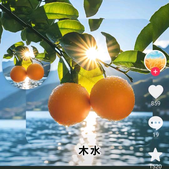 醒悟❤️