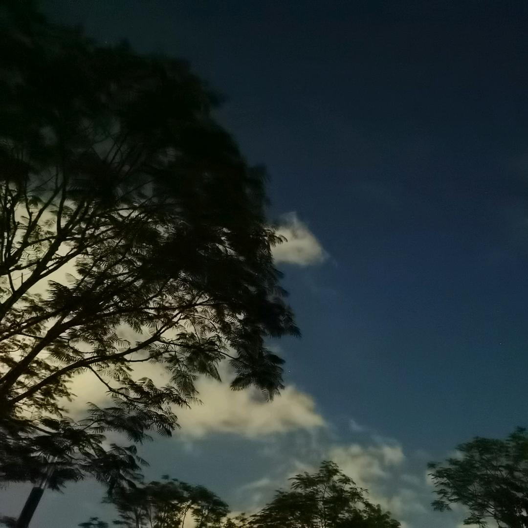 后来遇见她