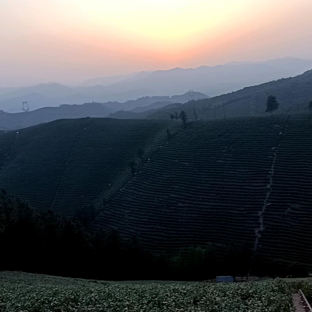 我不想流眼泪
