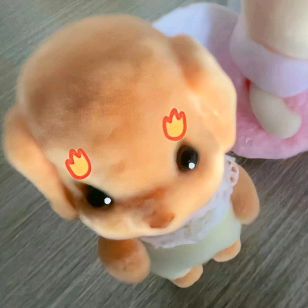 小盈歪歪