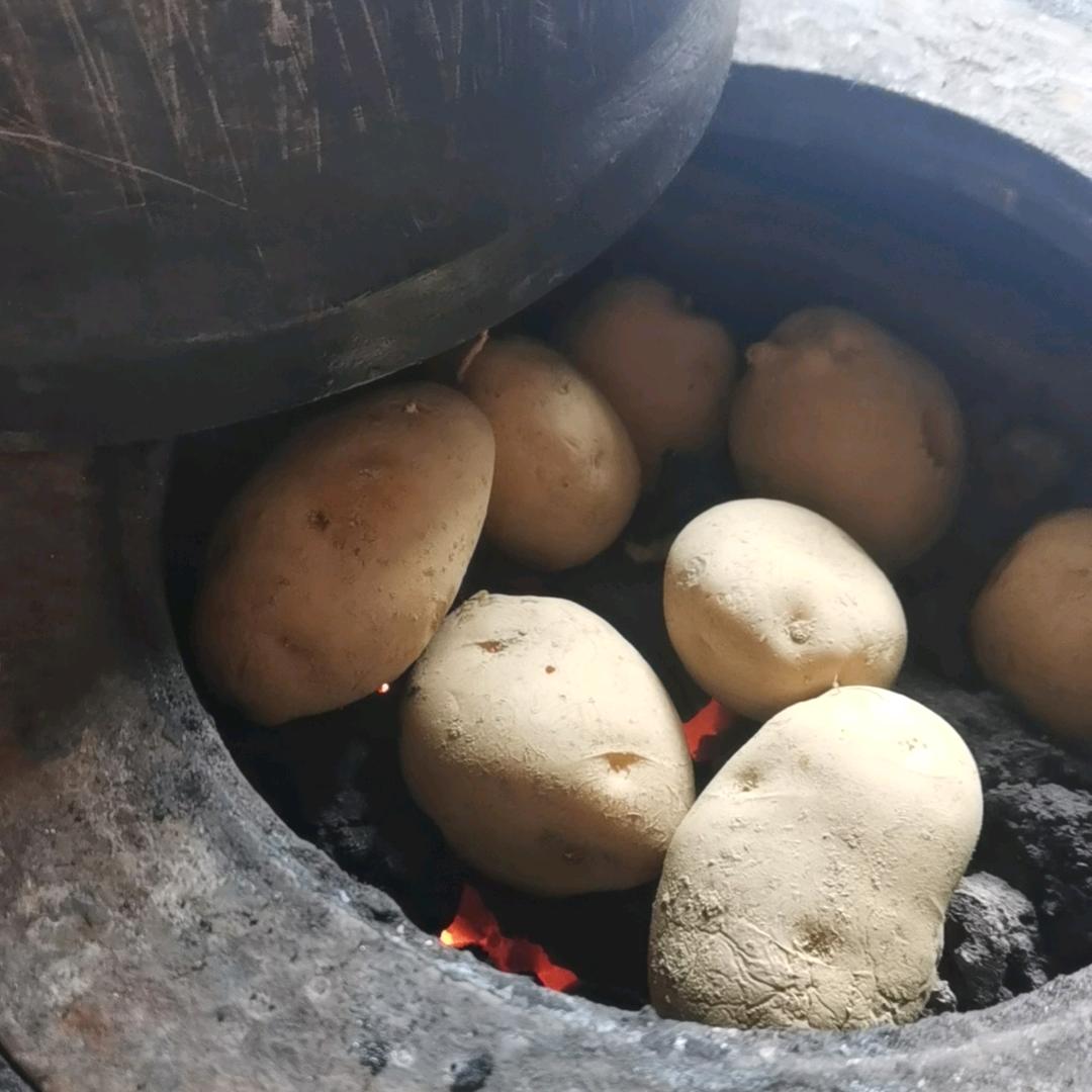 小土豆🥔