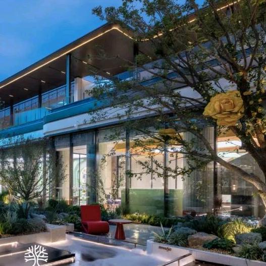 金茂龙城晓棠橙子🍊