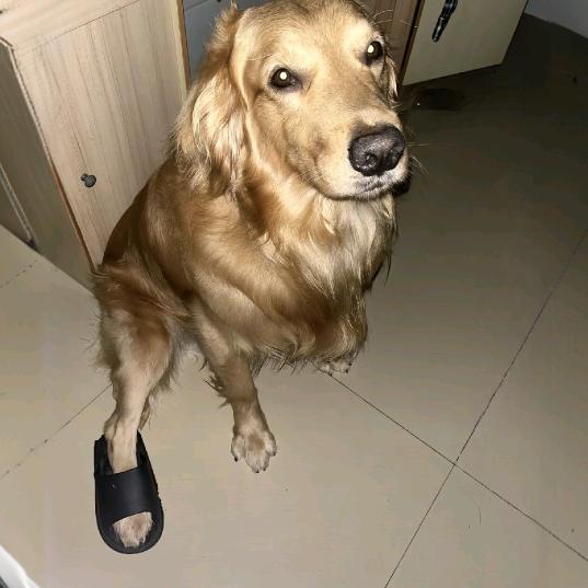 上班不上