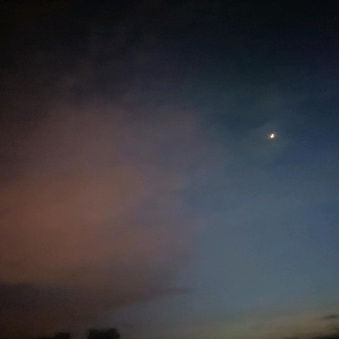 不理解，但尊重