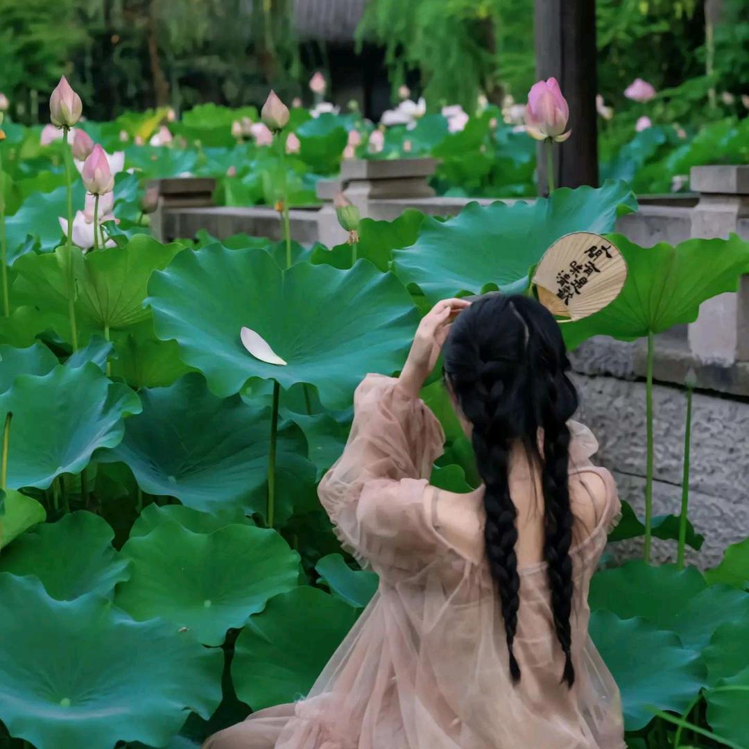 洋洋的生活