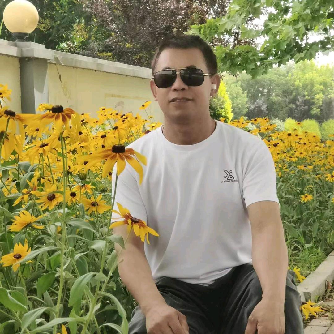 不“王”此生