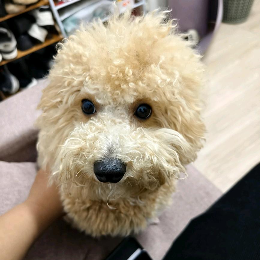 小曾
