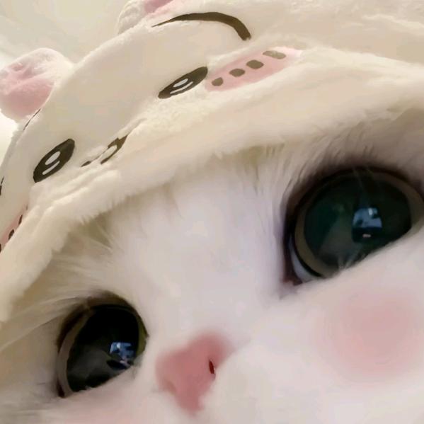 周周周
