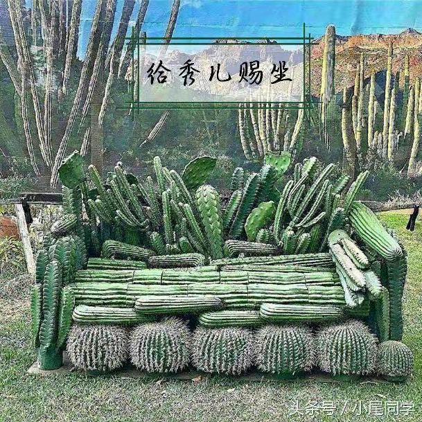 虎贝尔