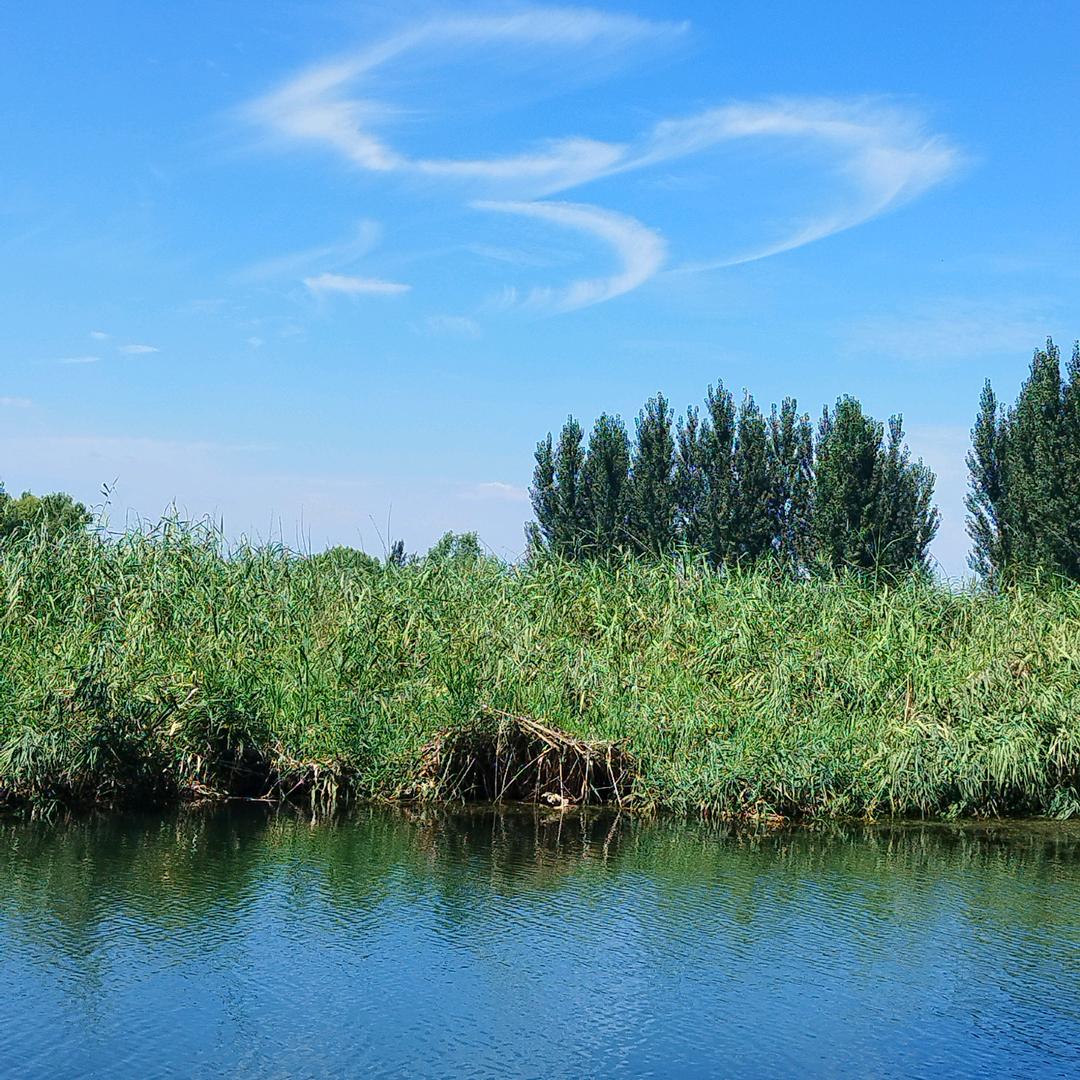 白洋淀鱼岛农家院
