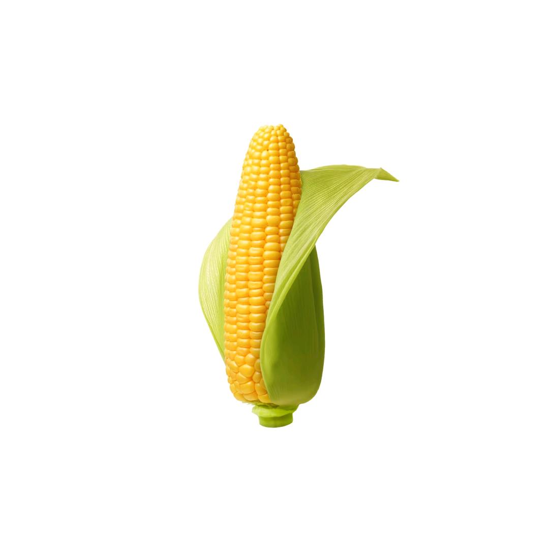 玉米骨头汤🌽