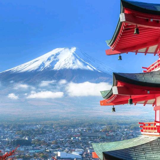 痛风溶晶哥