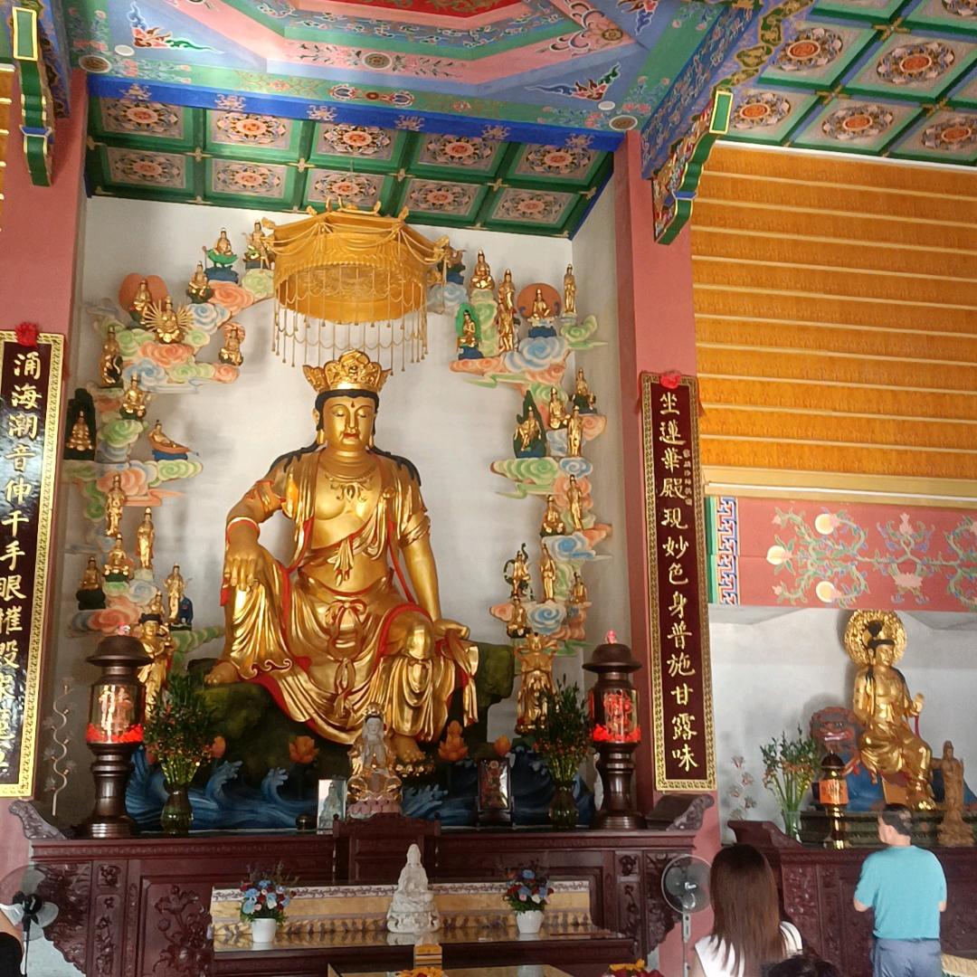 条叔