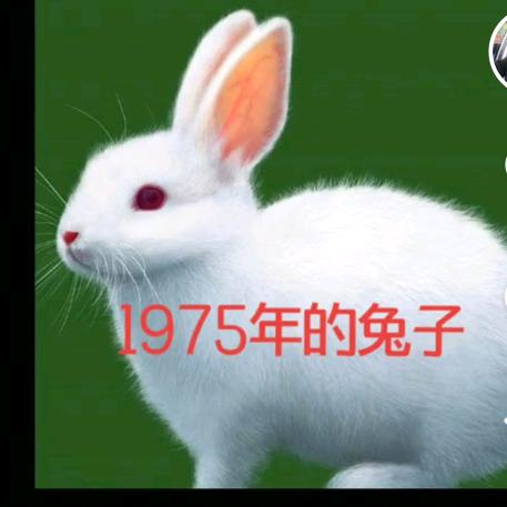 真爱一世情