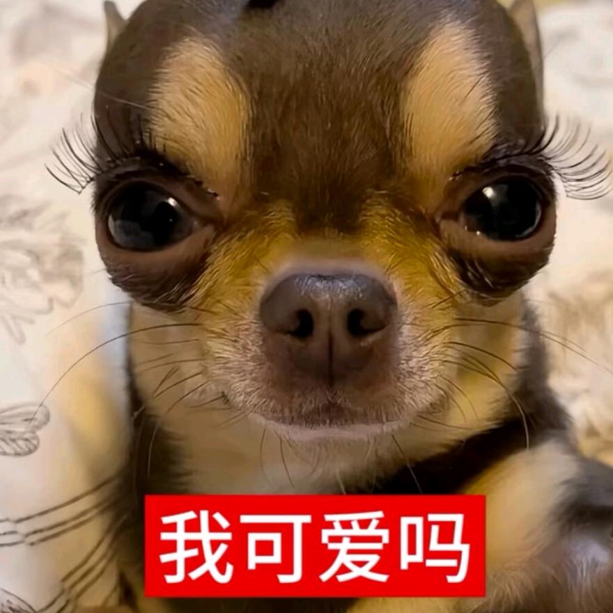 米一