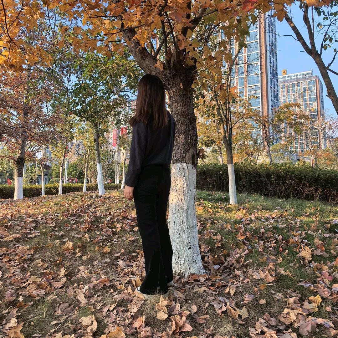 电器行业的小小疯