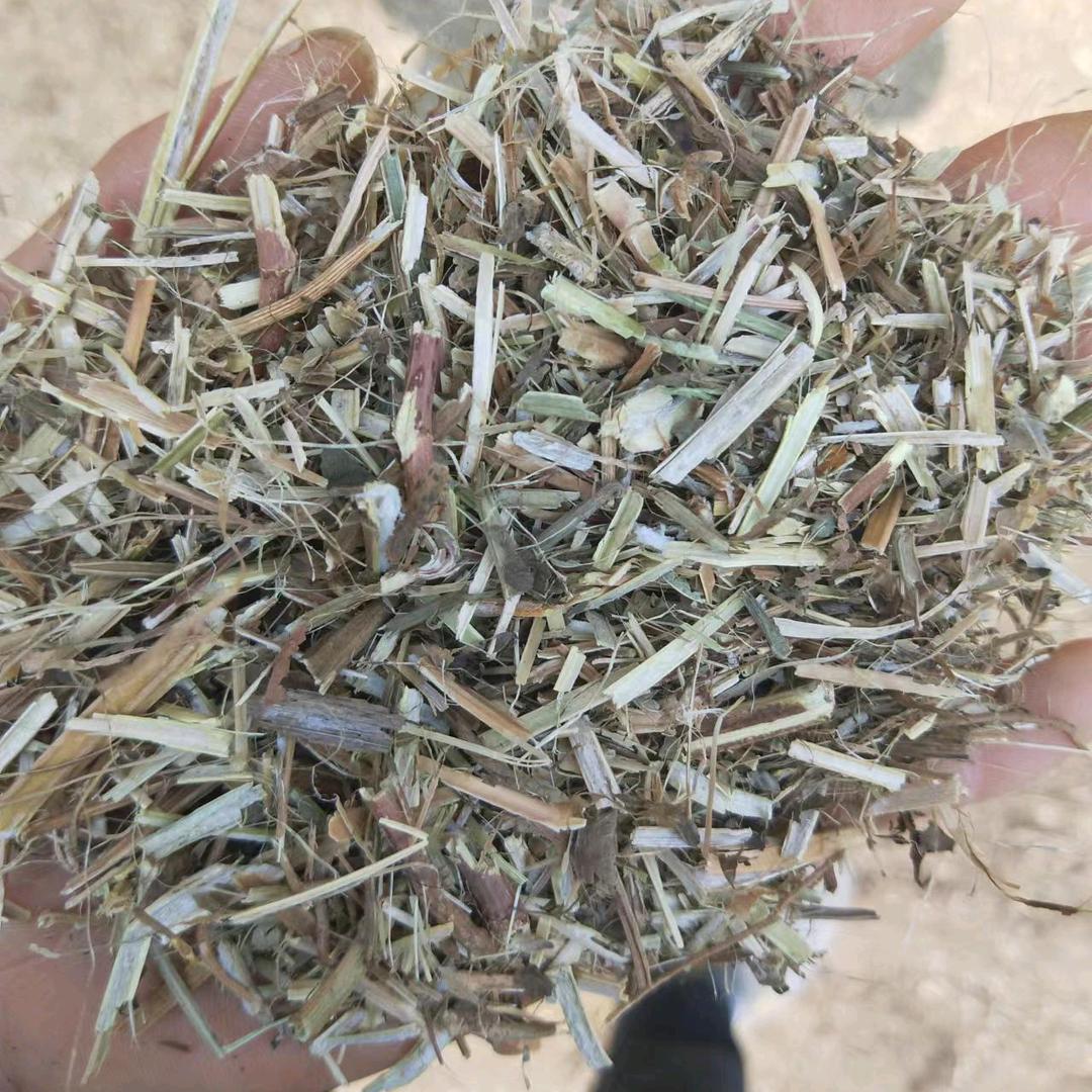 高价收购花生秧