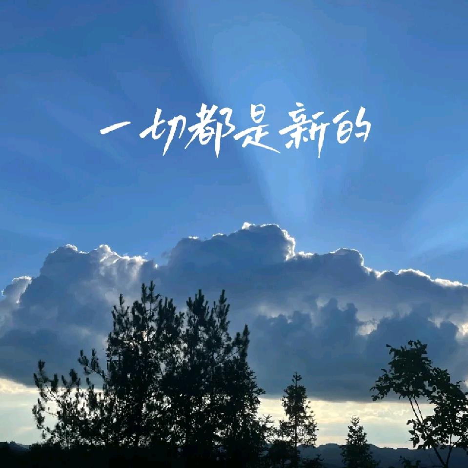 好运来@
