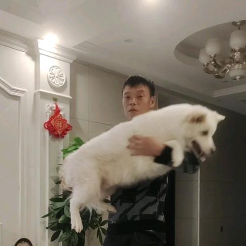 天天开心