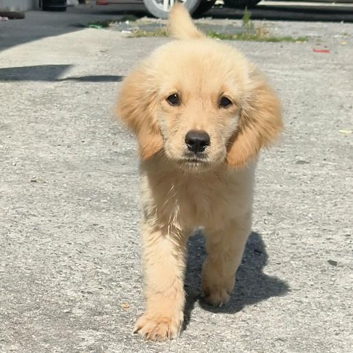 孤独无敌