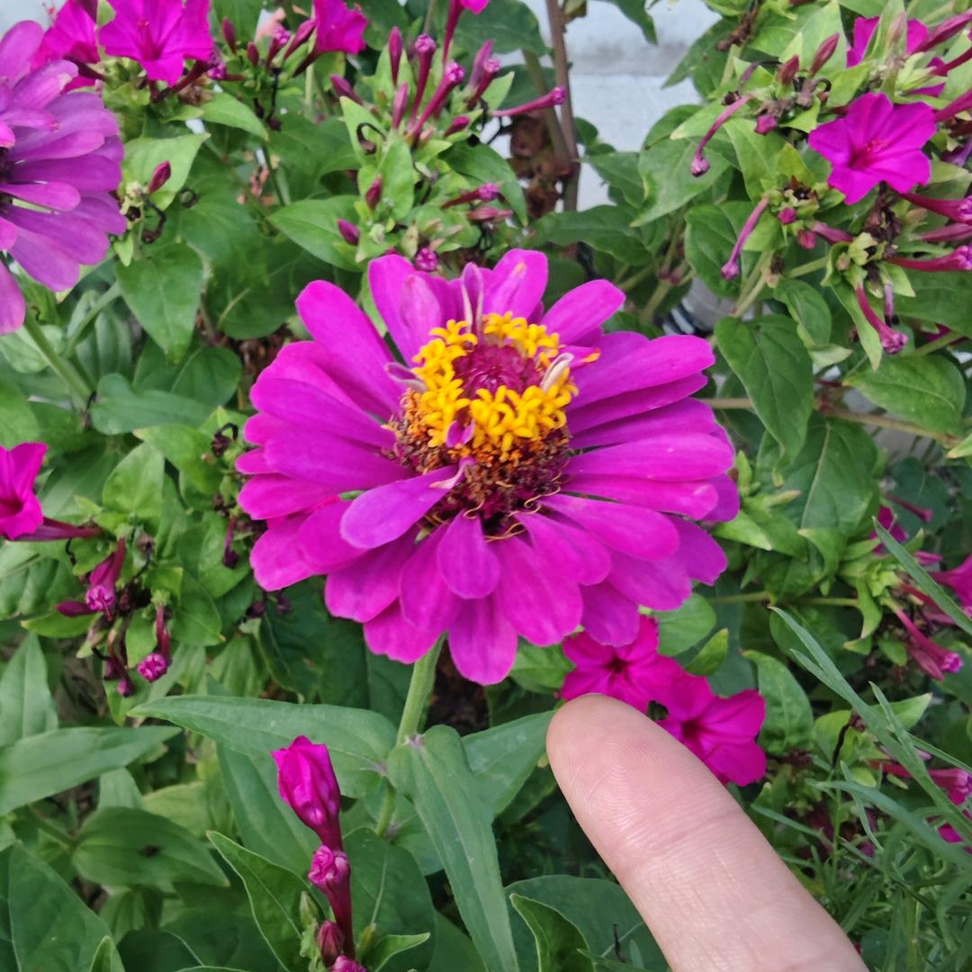 @翼城☞麦子租房
