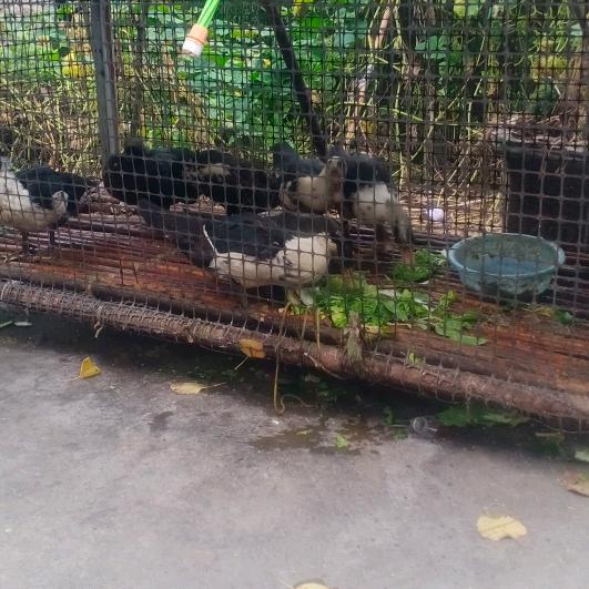 百孔千疮