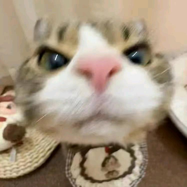 诺>w<