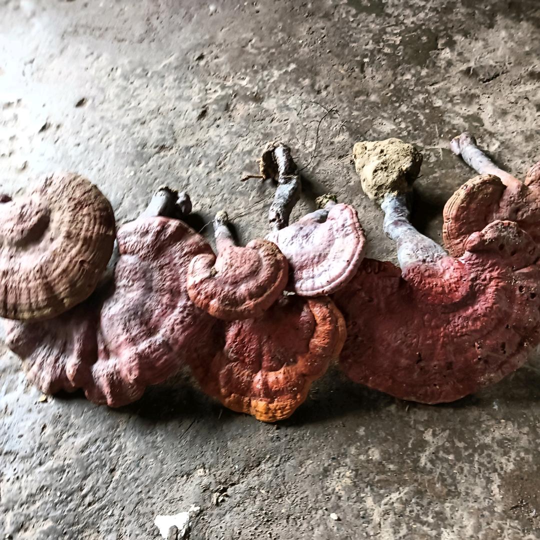 女人的嘴骗人的鬼