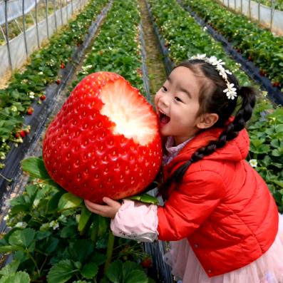 你若盛开，蝴蝶自来