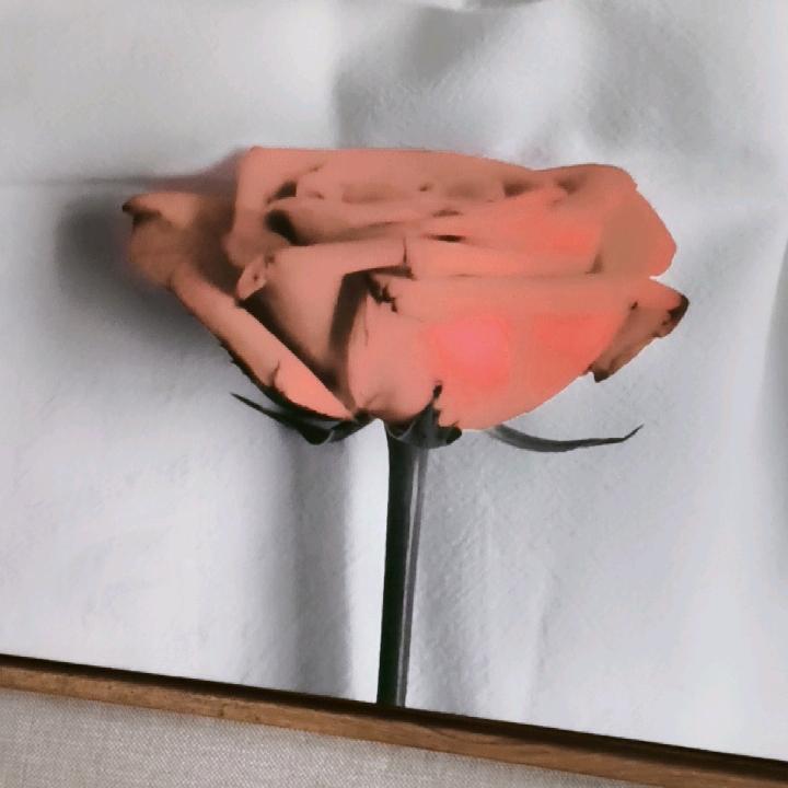 心想事成
