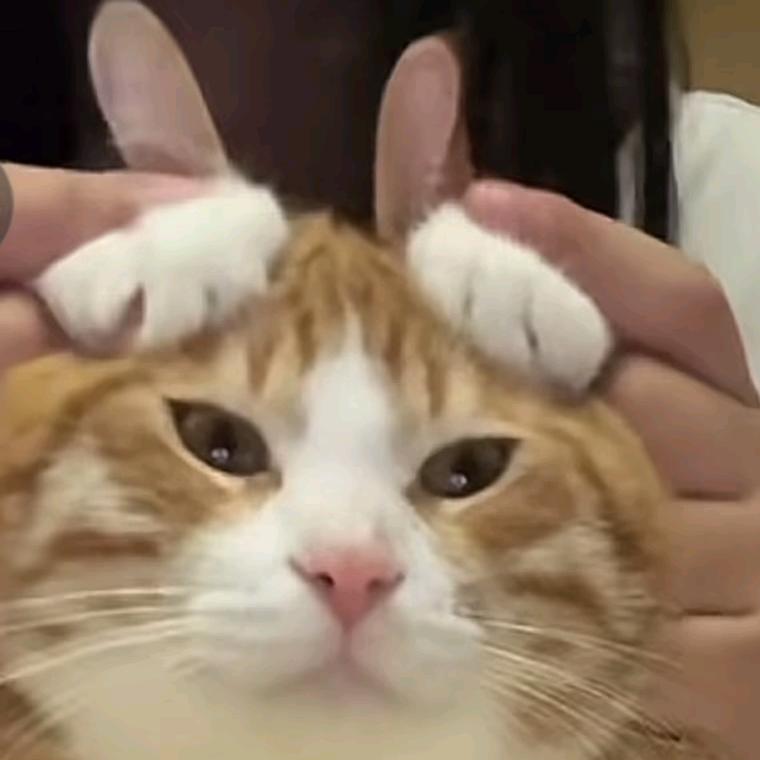 玉矶头像