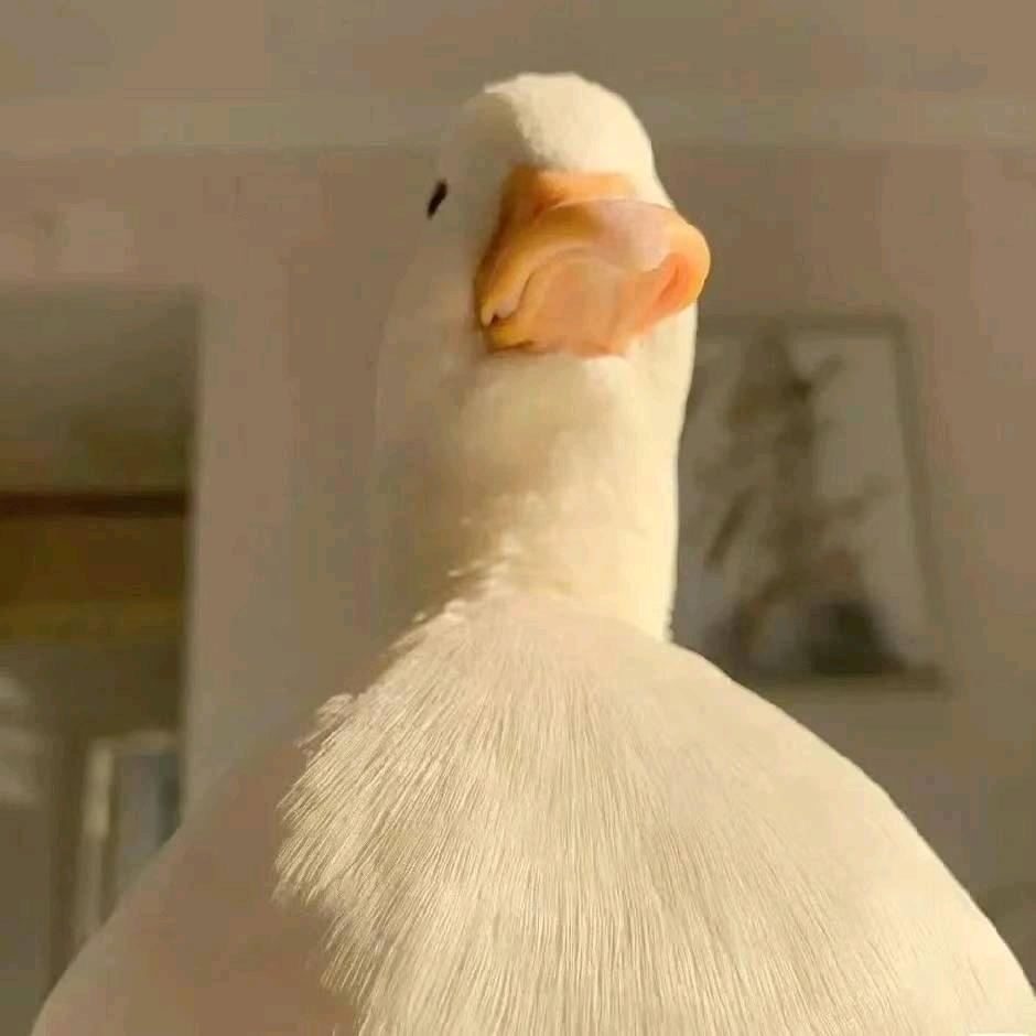 远方