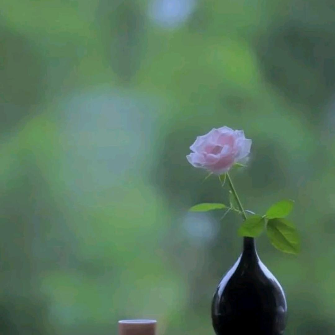 情系今生