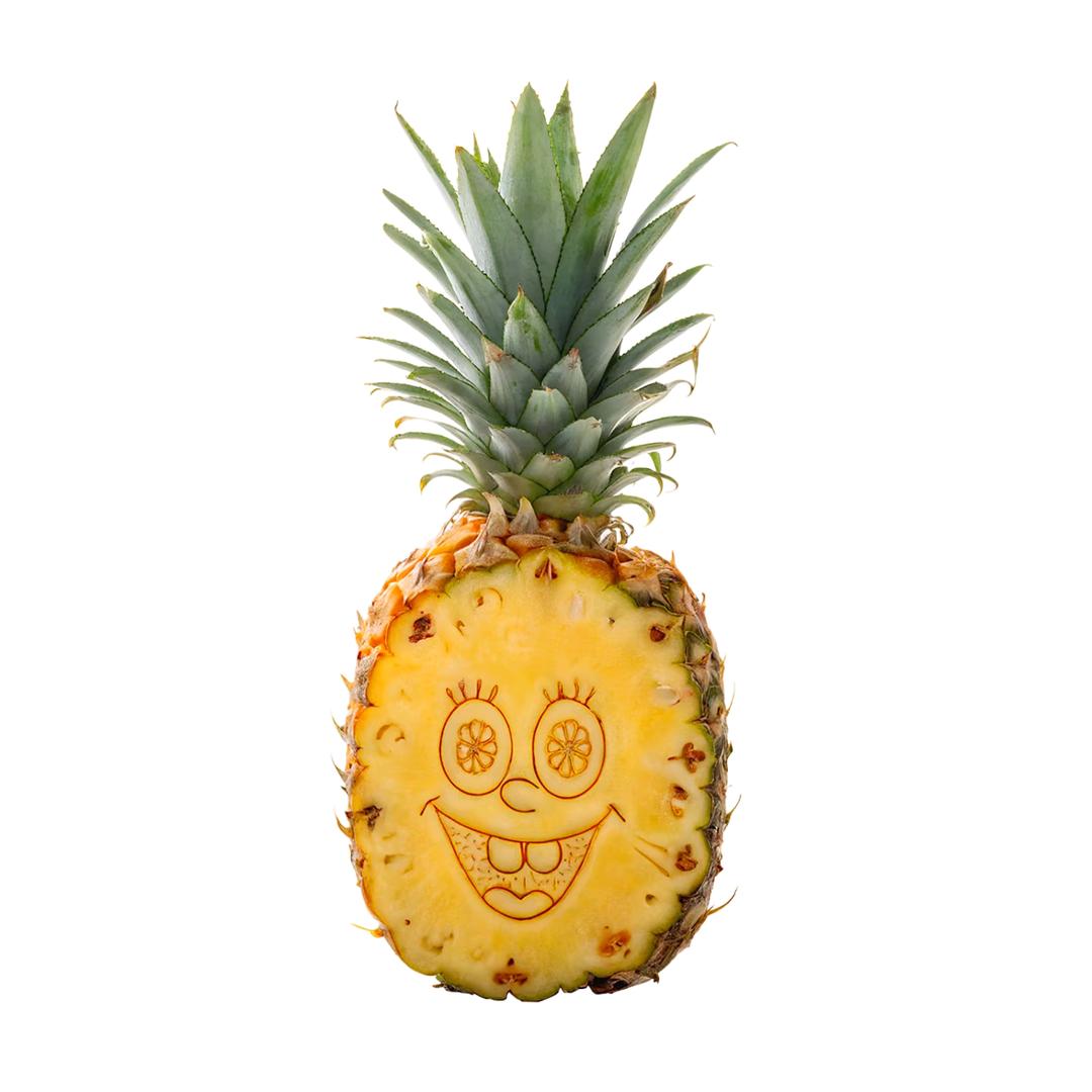 赚钱养德牧🍍