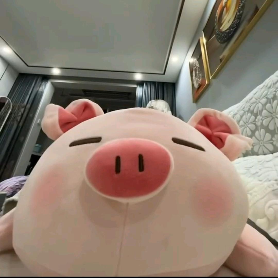 梦开始的地方