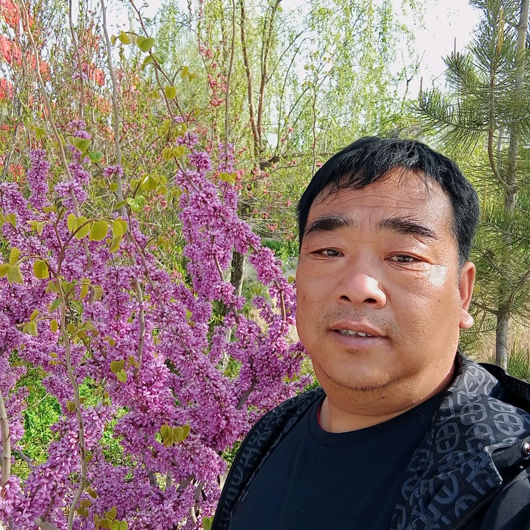 草莓哥