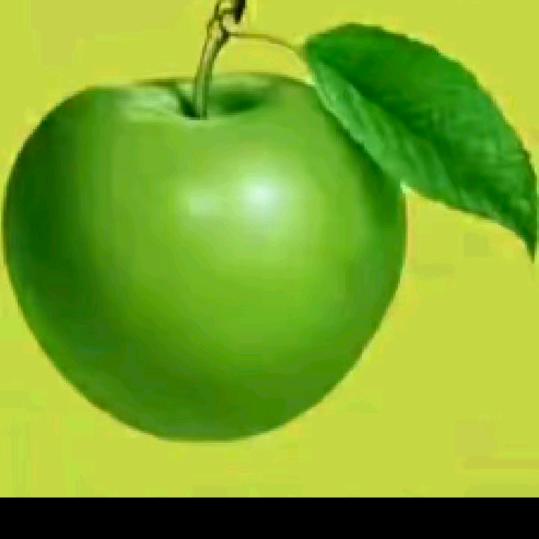 农民创业（不定时直播）